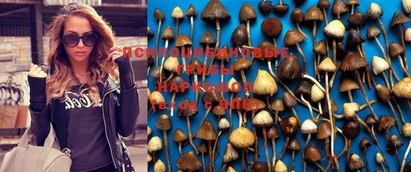 мяу мяу мука Вязники